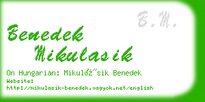 benedek mikulasik business card